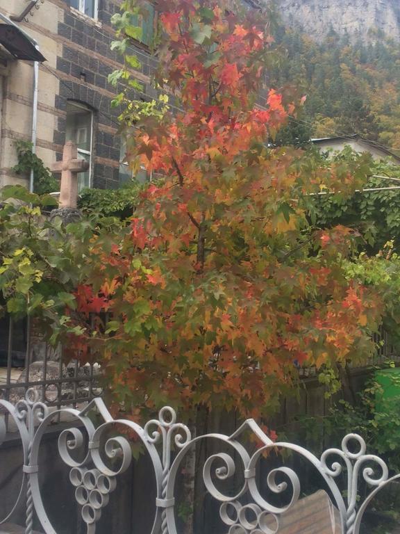 Old House Rustaveli Hotel Borjomi Bagian luar foto